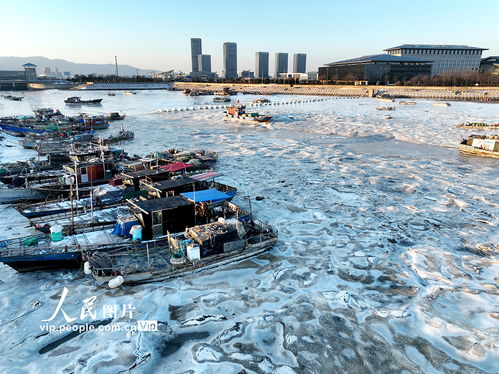 江蘇連云港強寒潮來襲，海岸現(xiàn)大面積冰凌奇觀